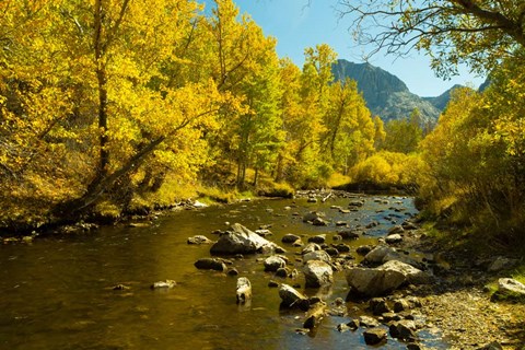 Framed Loop Falls, June Lake, California Print