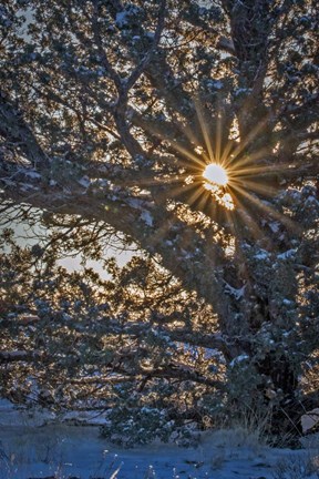 Framed New Years Steens Mountain Sunrise Print