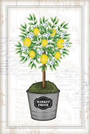 Framed Lemon Topiary Print