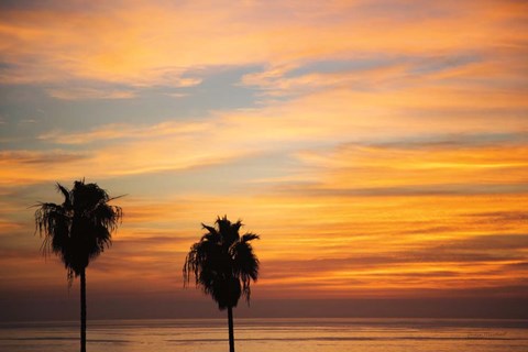 Framed Sunset Palms III Print