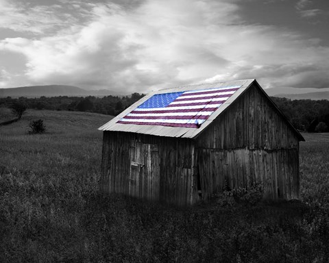 Framed Flags of Our Farmers XII Print