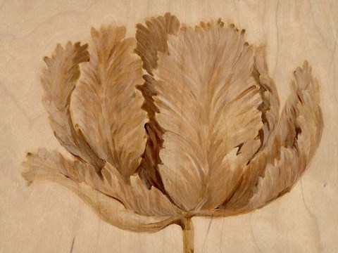 Framed Sepia Tulip on Birch II Print