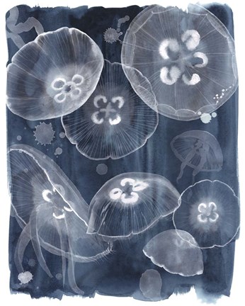 Framed Moon Jellies II Print