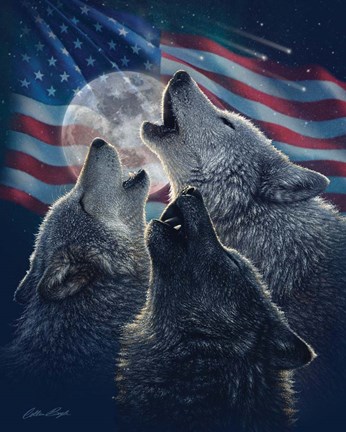 Framed Wolf Trinity Patriotic Print