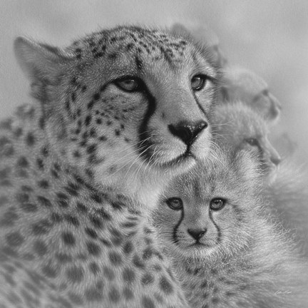 Framed Cheetah Mother and Cubs - Mother&#39;s Love - Square - B&amp;W Print