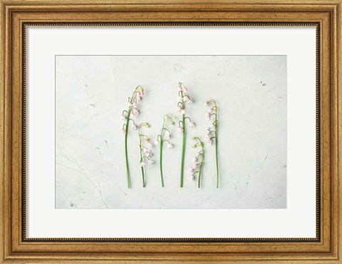 Framed May Bell Blooms Print