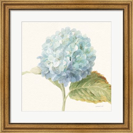 Framed Floursack Florals V - Blue Hydrangea Crop Print