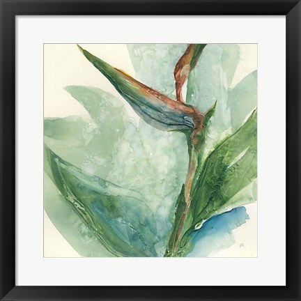 Framed Exotic Flower III Print