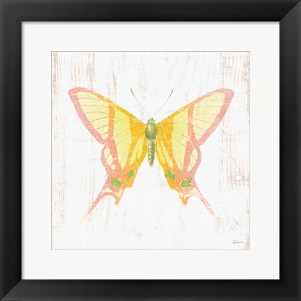 Framed White Barn Butterflies IV Print