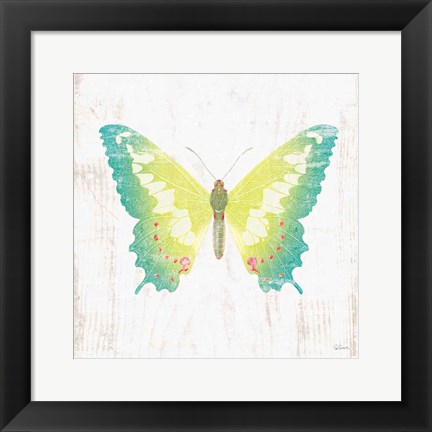 Framed White Barn Butterflies III Print