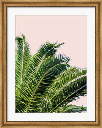 Framed Tropical Leaves on Blush I Print