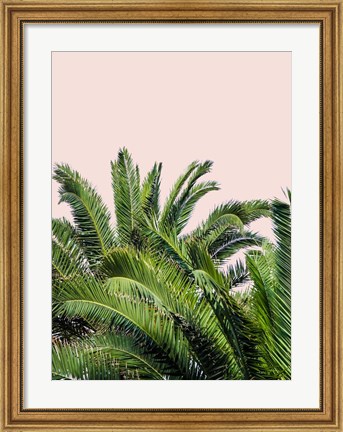 Framed Tropical Leaves on Blush II Print