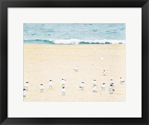 Framed Relaxed Seagulls Print