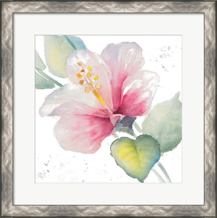 Framed Fragrant Hibiscus II Print