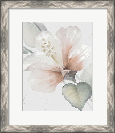 Framed Neutral Hibiscus II Print