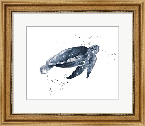 Framed Navy Ink Turtle II Print