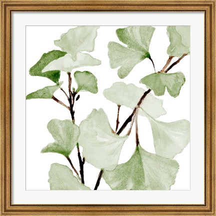 Framed Mint Ginko Stems I Print