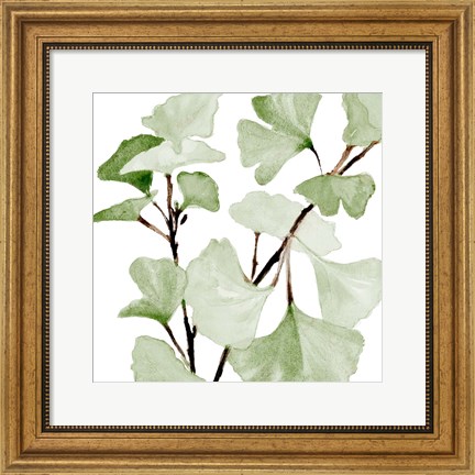 Framed Mint Ginko Stems I Print