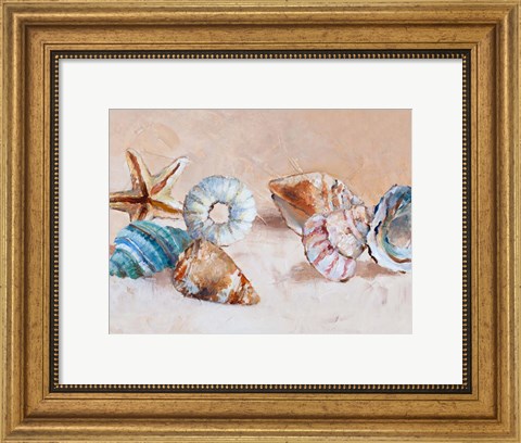 Framed Shells on the Shore Rectangle Print