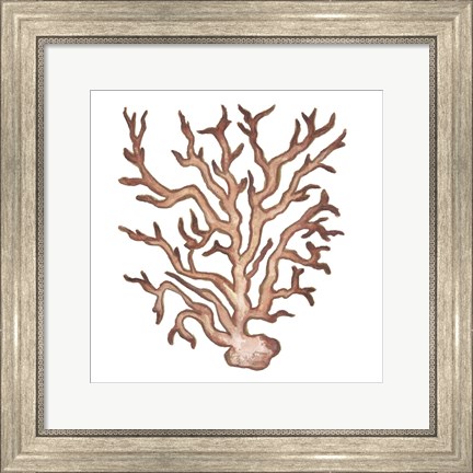 Framed Coastal Icon Coral III Print