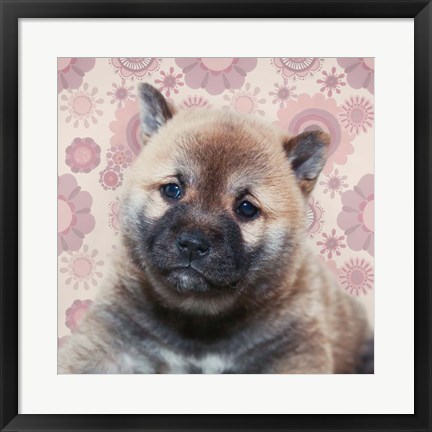 Framed Shiba Inu Portrait Print