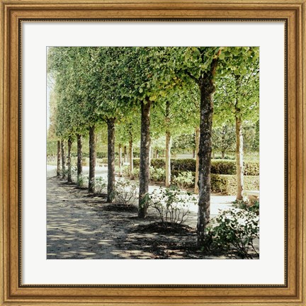 Framed Parisian Stroll I Print