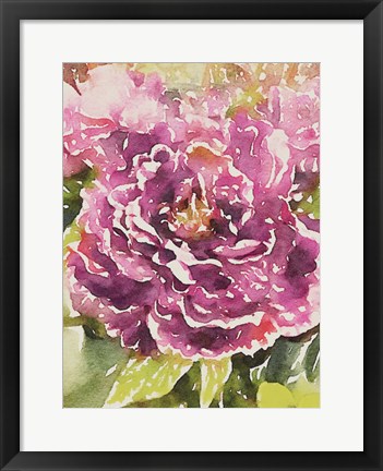 Framed Purple Blossoms Print