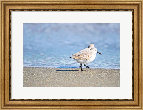 Framed Walk Along The Coast Print