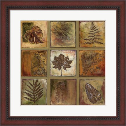 Framed Leaf Square I Print