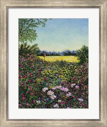 Framed Along The Meadows Edge Print