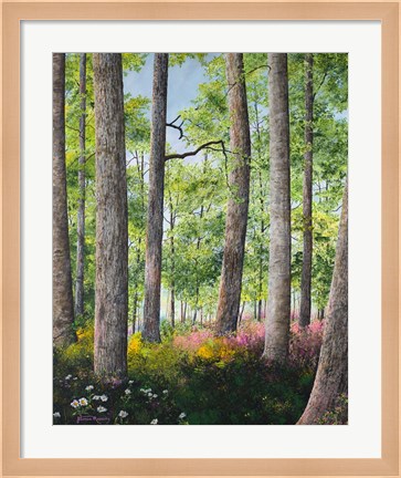 Framed Enchanted Forest Print