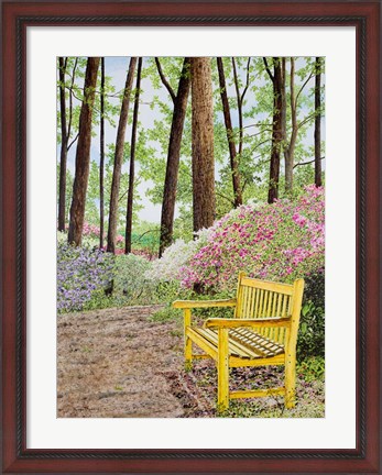 Framed Nature Walks Print