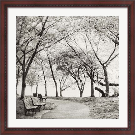 Framed Virginia Park Walk Print