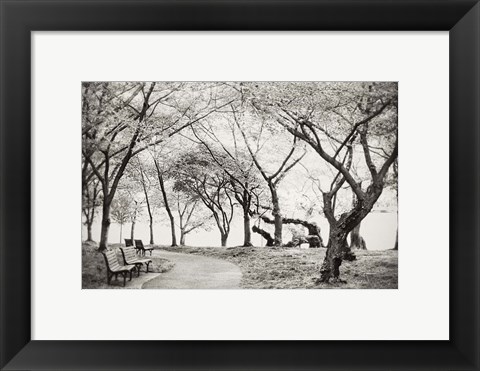 Framed Path Walk Print