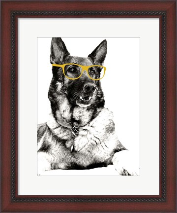 Framed Gold Shades Print