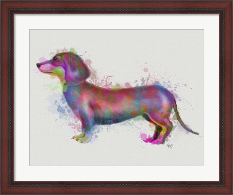 Framed Dachshund Rainbow Splash 1 Print