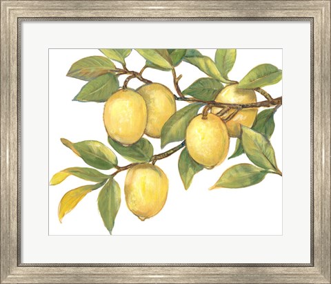 Framed Ripe for Picking I Print