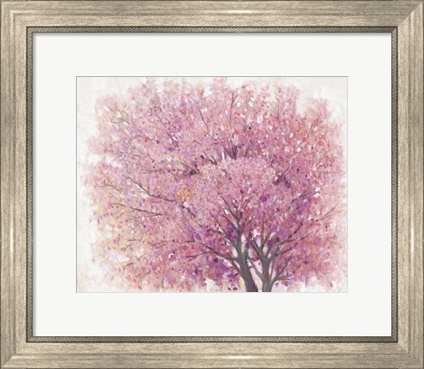 Framed Pink Cherry Blossom Tree II Print