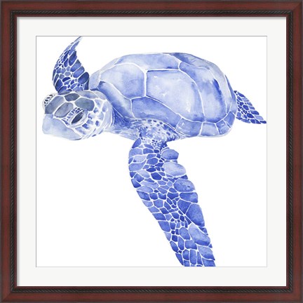 Framed Ultramarine Sea Turtle I Print