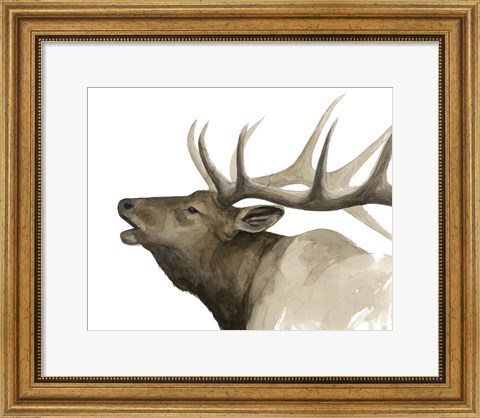 Framed Call of the Elk II Print