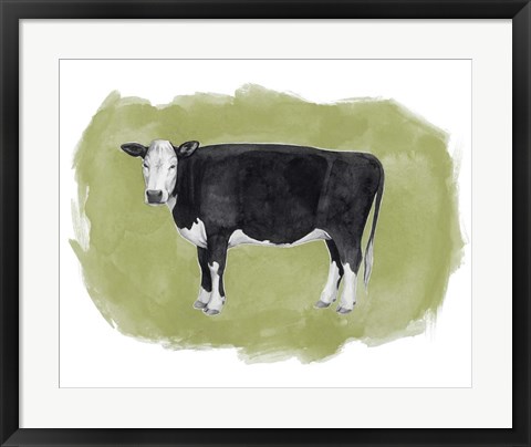 Framed Hereford Graze II Print