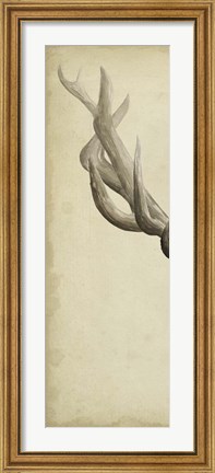 Framed Triptych Elk I Print