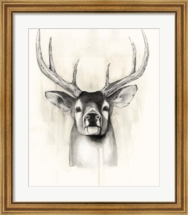 Framed Timberland Animals II Print