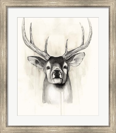 Framed Timberland Animals II Print