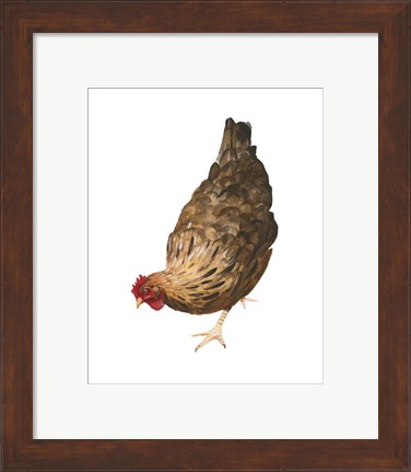 Framed Autumn Chicken II Print