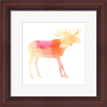 Framed Agate Animal VI Print