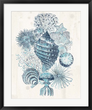 Framed Coastal Melange II Print