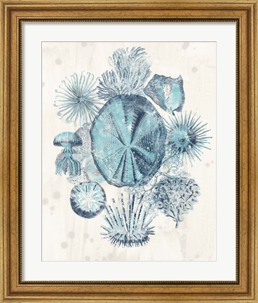 Framed Coastal Melange IV Print