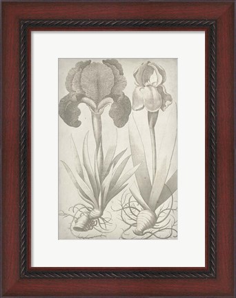 Framed Classic Romance IV Print