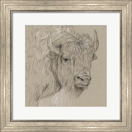 Framed Bison Sketch I Print